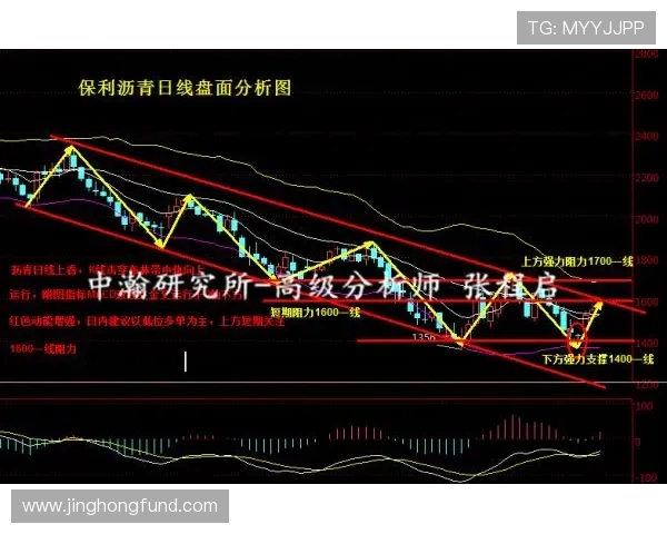 沙特与埃及亚盘分析及比赛前瞻全面解读